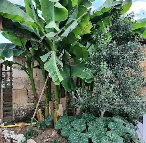 Le Fournil De Nyaraló